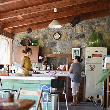 B&B Casa Dei Nonni Scario Zewnętrze zdjęcie