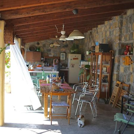 B&B Casa Dei Nonni Scario Zewnętrze zdjęcie